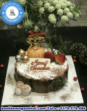 Bánh Kem Noel Giáng Sinh 46
